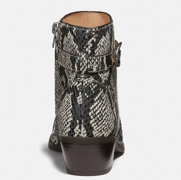 Coach Dylan Booties New Snakeskin Leather 9.5 NIB - Picture 5 of 7